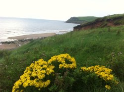 St Bees Head