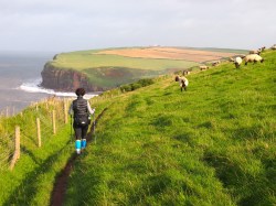 Cumbrian Coast